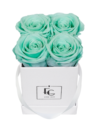 CLASSIC INFINITY ROSEBOX | MINTY GREEN | XS