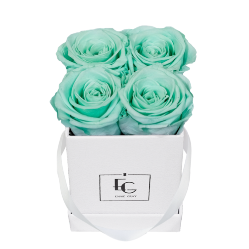 CLASSIC INFINITY ROSEBOX | MINTY GREEN | XS