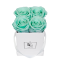 CLASSIC INFINITY ROSEBOX | MINTY GREEN | XS